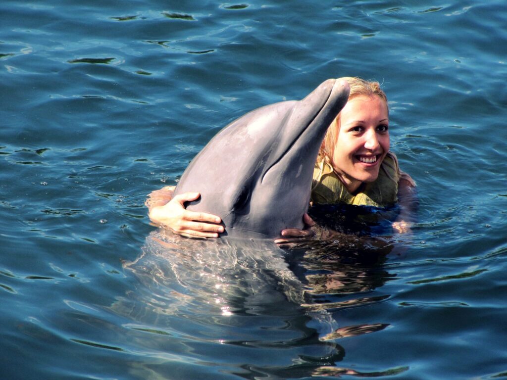 swimming with dolphins is an unforgettable experience
