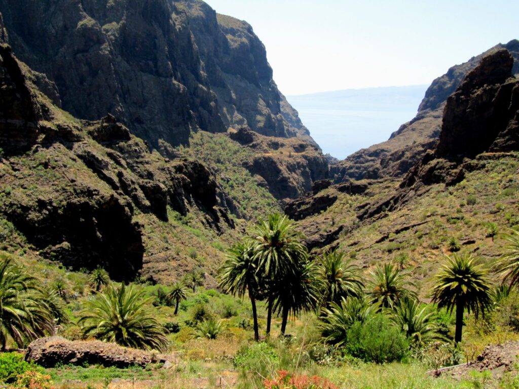 masca valley-things to do in tenerife