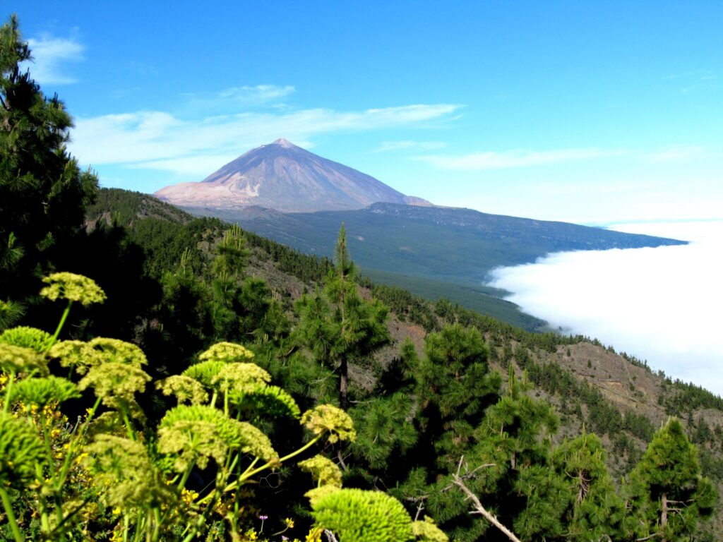 teide volcano- things to do in tenerife