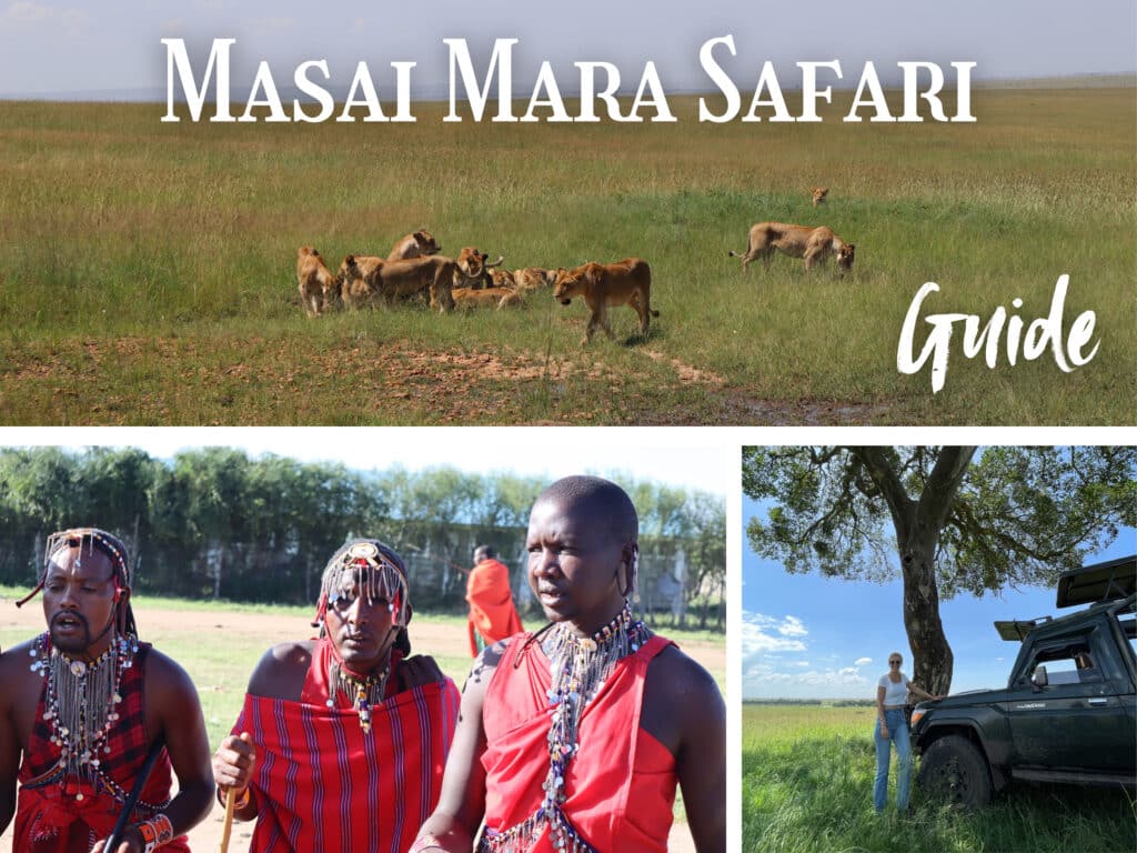 massai mara safari guide