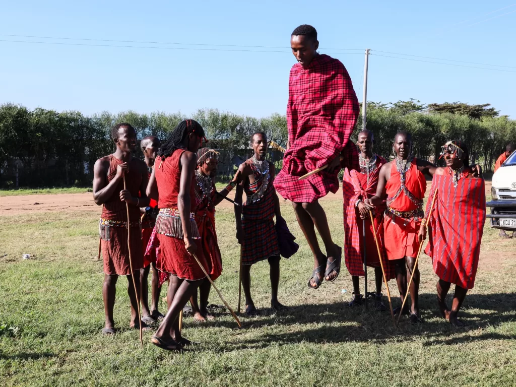 the maasai warrios performing adumu, jumping dance