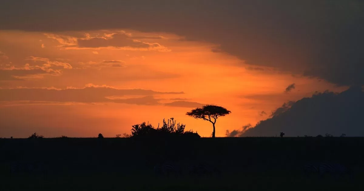 masai mara park