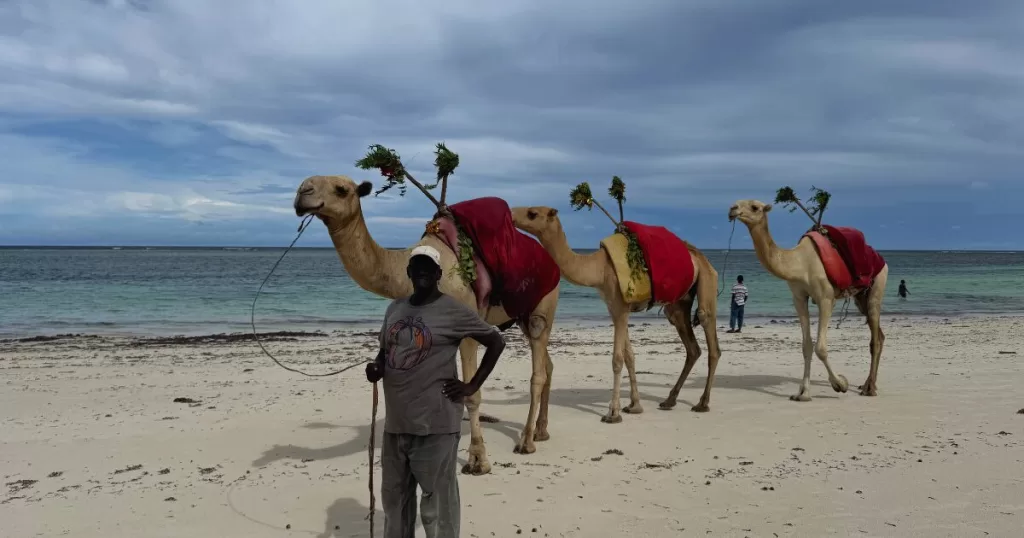 diani beach