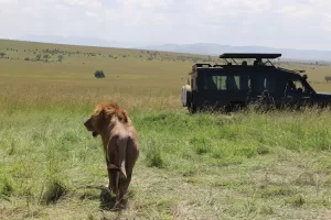 kenya group trip 2025